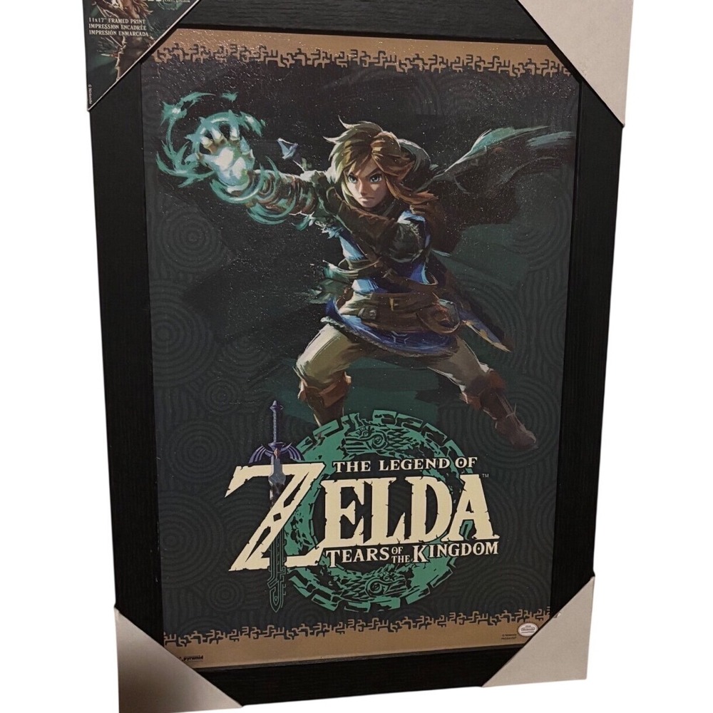 Nintendo Legend of Zelda Tears of the Kingdom Framed Print 11x17 Link Wall Art